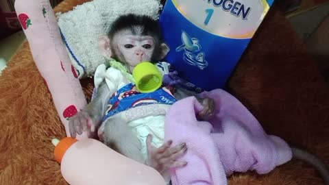 Baby Joyce calm while drinks milk, and play her lovelly toys alone