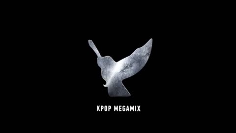 2NE1BLACKPINK MASHUP - KPOP MEGAMIX