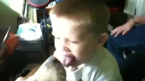 Toddler reaction after he was licked by dog