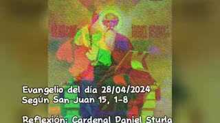 Evangelio del día 28/04/2024 según San Juan 15, 1-8 - Cardenal Daniel Sturla