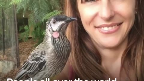 Bird Snuggles With Woman Who Rescued Him | The Dodo