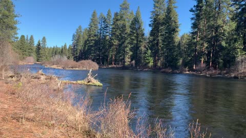 13.5 miles of River Fun – Metolius River National Recreation Area – Central Oregon