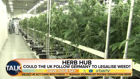 Should The UK Follow Germany To Legalise Cannabis?