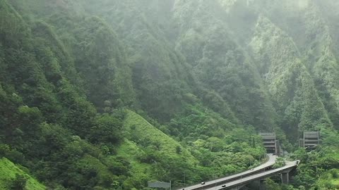 bridge view nature