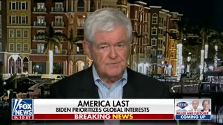 Newt Gingrich: This policy is madness