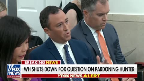 WH press sec says Joe Biden would not pardon Hunter