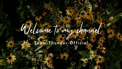 Team Thunder Official