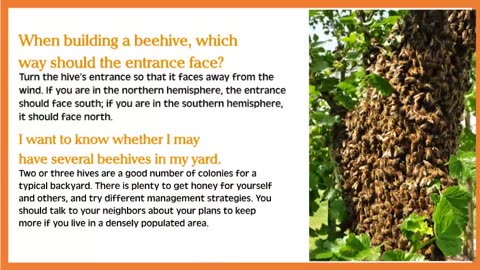 What is the Best time to Start Beekeeping?