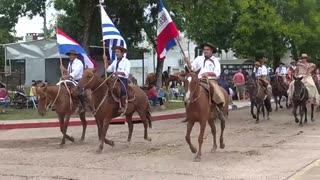 Desfile Gaucho - 37° Fiesta de la Patria Gaucha - Tacuarembó, Uruguay (09/03/2024)
