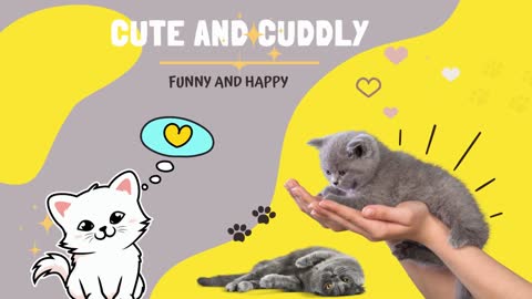 Cuteness Overload: The Cutest Happy and Funny Cats and Dogs