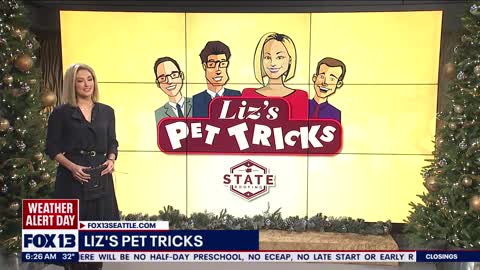 Liz's Pet Tricks for Friday, December 2 FOX 13 Seattle