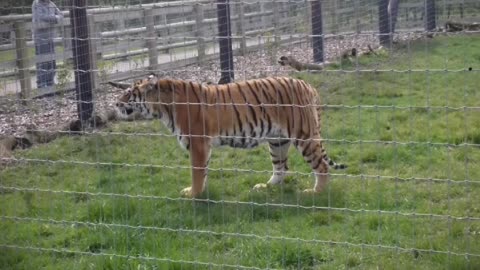 April 2016 Gabrielle's birthday, Woodside Wildlife park part 3