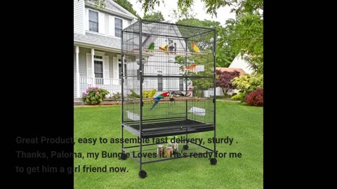 ZENY 53-Inch Parakeet Bird #Cage Wrought Iron-Overview