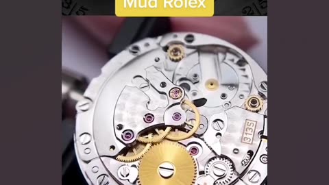 Recovering ROLEX watch that was in the mud for days...