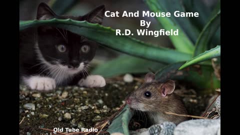 Cat And Mouse Game by R.D. Wingfield. BBC RADIO DRAMA