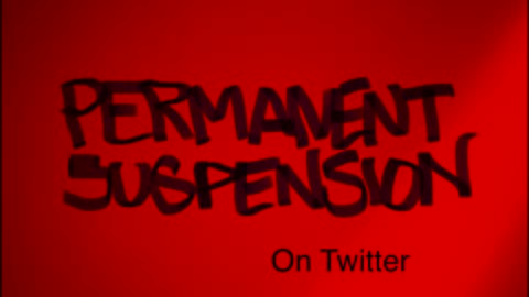 Permanent Suspension on Twitter #2