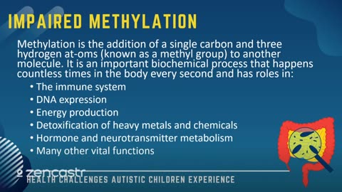 42 of 63 - Impaired Methylation - Health Challenges Autistic Children Experience
