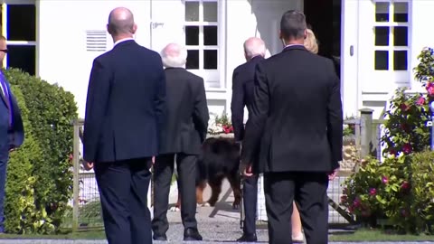 LOL: Watch what happens when very perceptive dog meets Joe Biden