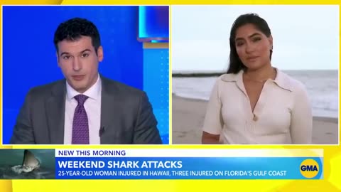 Florida beach hotspot closed after multiple shark attacks ABC News