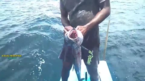 #Sea#Fishing#River#Fish Monster Fish Were Caught From The Open Seas