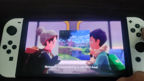 Pokemon Sword:The Wild Train Ride