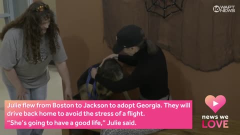 Boston woman adopts MARL dog