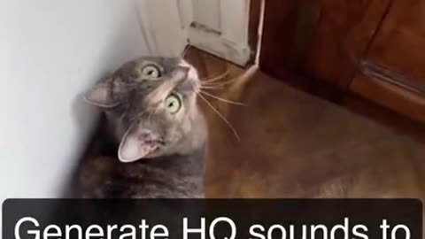 SOUNDS THAT ATTRACTS CATS