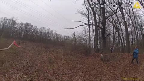 Bodycam video shows team stalk escaped emus near Kalamazoo