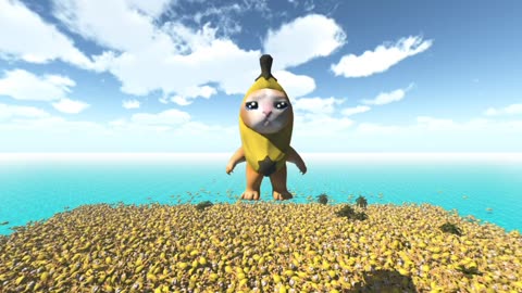 Banana Cat 50,000 TIMES! 360° | VR/360° Experience