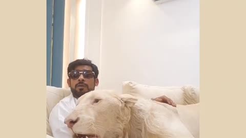 An Arab prince with his pet