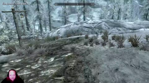 Skyrim with MrNihilist74 on twitch (4)