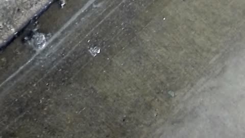 🏝️ unidentified gross liquid dumped on doorstep #karenbasshoax #ArbeitMachtFrei
