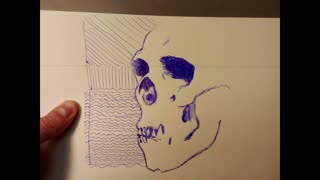 Speed Drawing Neanderthal Skull