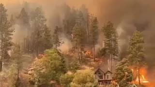West Kelowna, Canada is the latest to be devastated by huge 'orchestrated' fires...