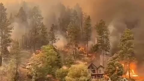 West Kelowna, Canada is the latest to be devastated by huge 'orchestrated' fires...