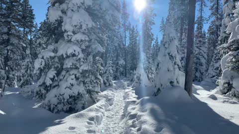 Never Gets Above Freezing – Central Oregon – Swampy Lakes Sno-Park – 4K