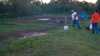 GBAIX Family Farm Tour