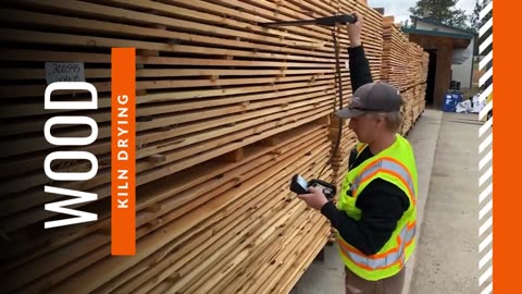 Kiln Drying of Wood At White Knight Consulting LTD