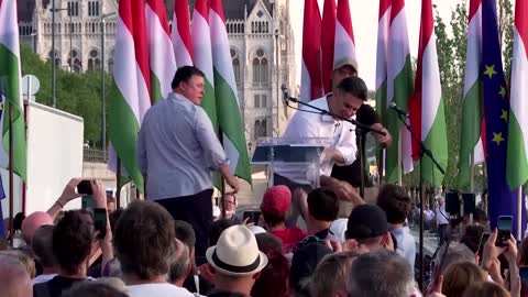 Hungarians rally against PM Orban's reforms