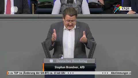 KANN DIE AfD DEN ALTFRAKTIONEN GEFÄHRLICH WERDEN. Stephan Brandner (AfD)