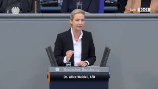 Alice Weidel im Bundestag 23.11.22