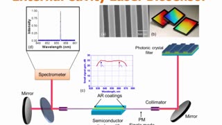 IEEE SENSORS: Photonic Crystal Biosensors