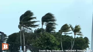 Heavy Wind, Rain Hit Marathon, FL, as Hurricane Idalia Approaches