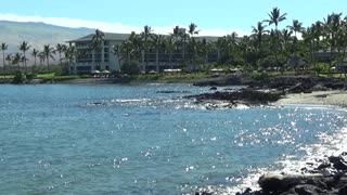 Puako, HI — Pauoa Bay