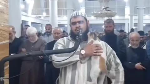 Cat jumping on the imam during tarawih prayer