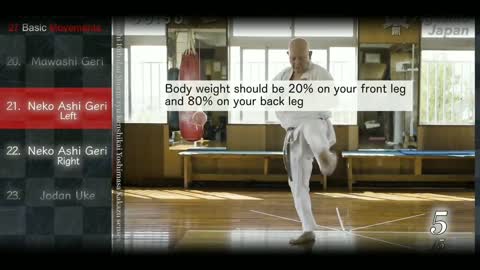 Karate 27 Basic Movements | Okinawan Karate | Every day Karate at Home | Ageshio Japan