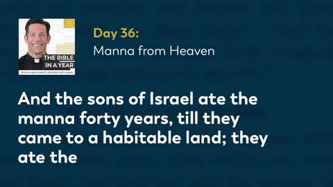 Day 36 Manna from Heaven — The Bible in a Year (with Fr. Mike Schmitz)