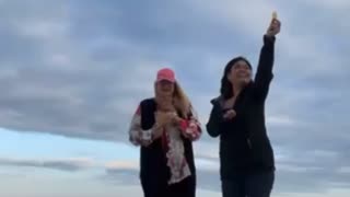 Feeding birds by hand 🤚 in the beautiful beach of Bradenton Florida!