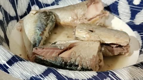 Eating Pampa Mackerel In Brine, Dbn, MI, 2/11/24