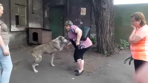 Mom in Tears as She Discovers Her Dog Starving, 2 Years After Being Stolen.